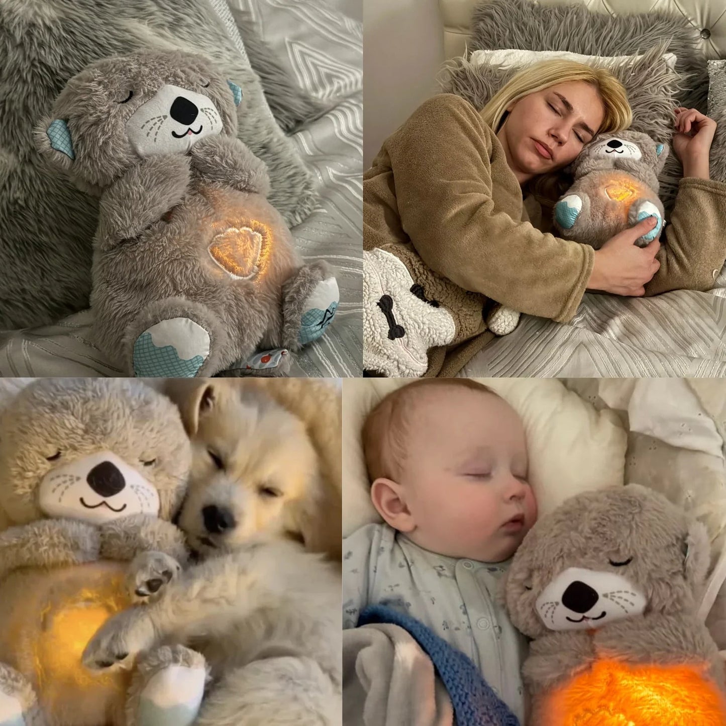 🔥Angstlindernder Otter