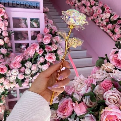 💖Festliche Auswahl 2025 – 57 % Rabatt – 🌹Limitierte Edition Kristallrose