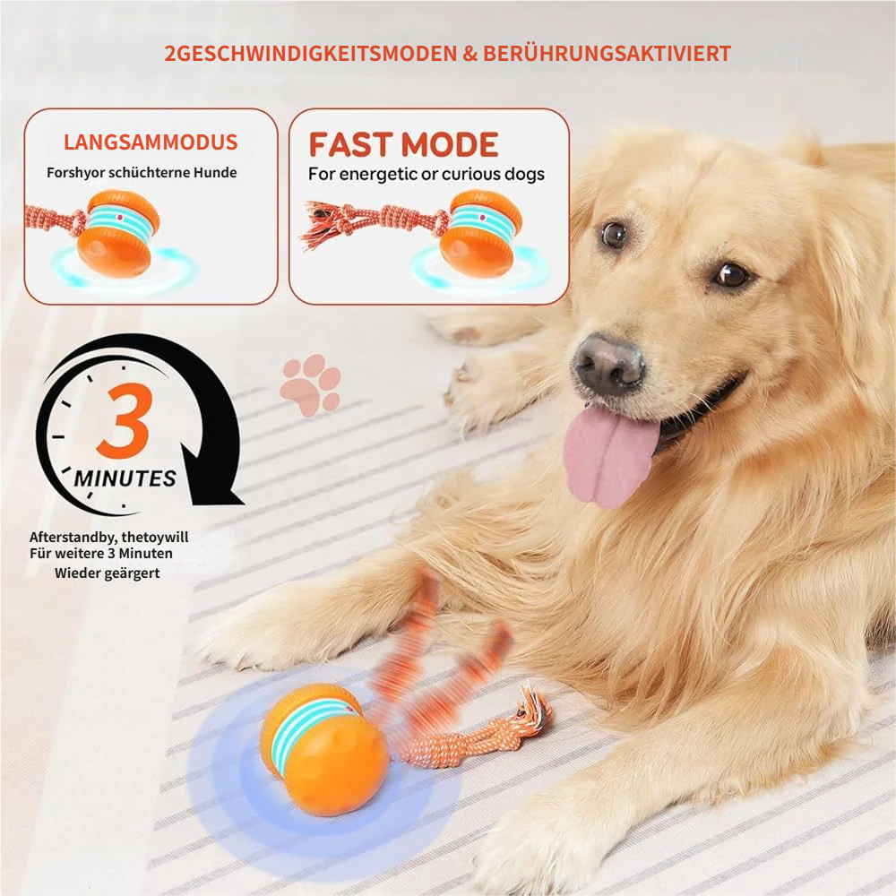 🐶The YOBENSUN™ – Keep Your Pet Relaxed, Happy & Content 🐾