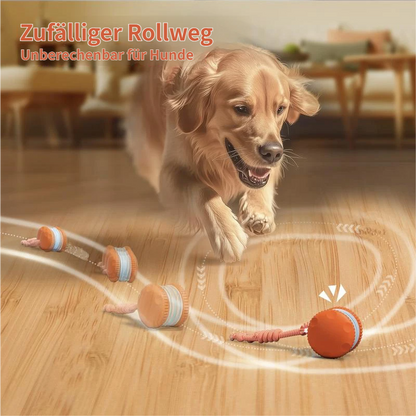 🐶The YOBENSUN™ – Keep Your Pet Relaxed, Happy & Content 🐾