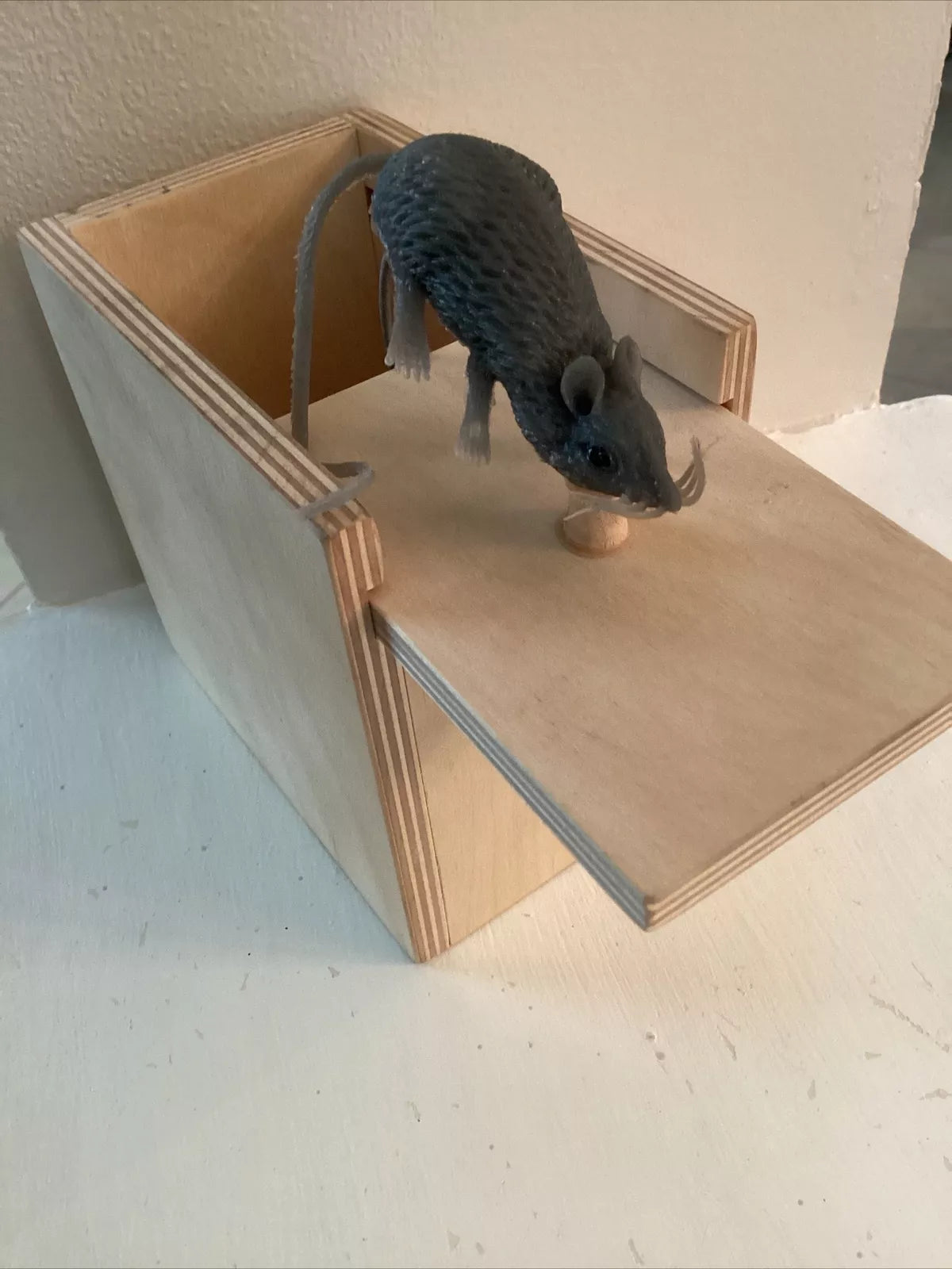 🎁Superlustige, verrückte Scherzgeschenkbox mit Spinnenmotiv